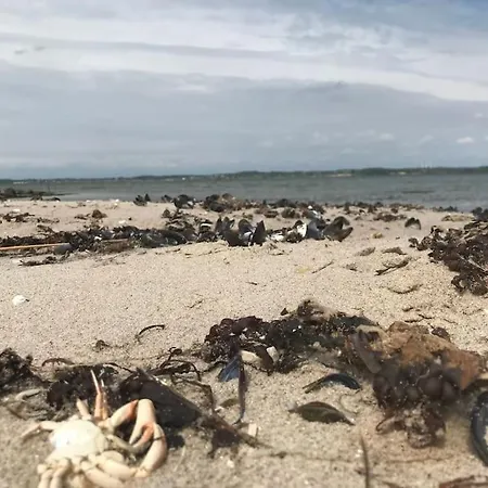 Вилла Strandgarden Pa Skaro Med Faerge Fra Svendborg Ballen (Svendborg)
