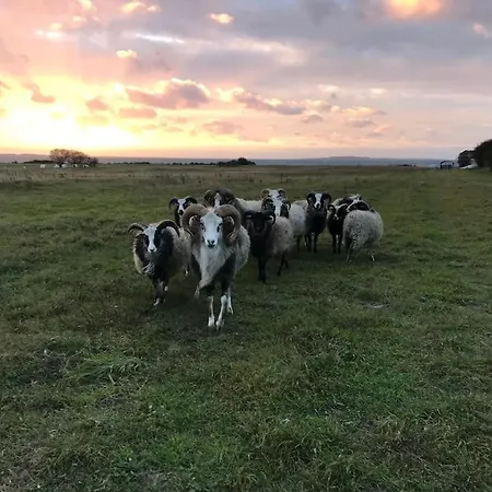 Strandgarden Pa Skaro Med Faerge Fra Svendborg Вилла