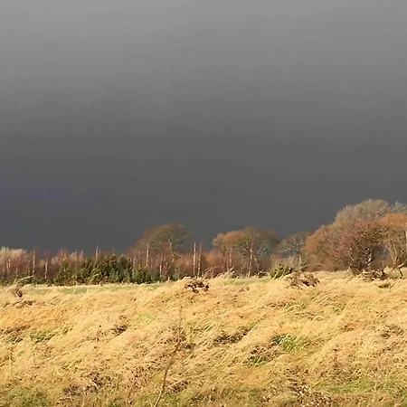 Villa Strandgarden Pa Skaro Med Faerge Fra Svendborg *