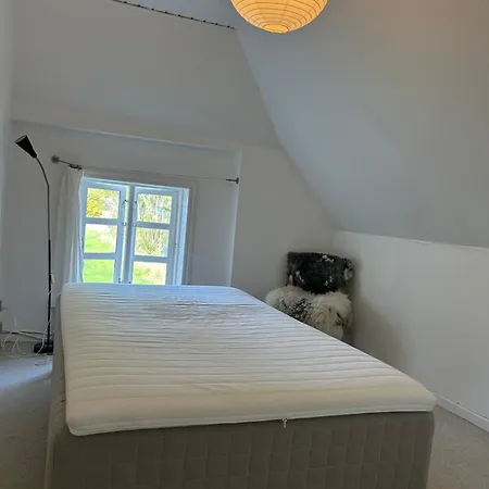 Strandgarden Pa Skaro Med Faerge Fra Svendborg * Ballen (Svendborg)