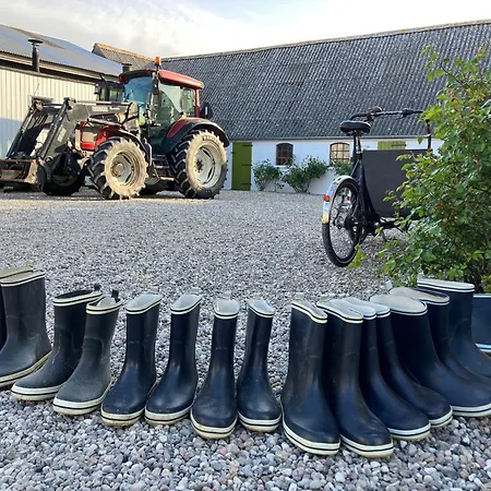 Strandgarden Pa Skaro Med Faerge Fra Svendborg Ballen (Svendborg)